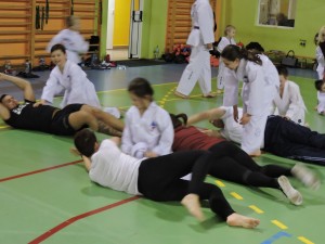 DSCN6427